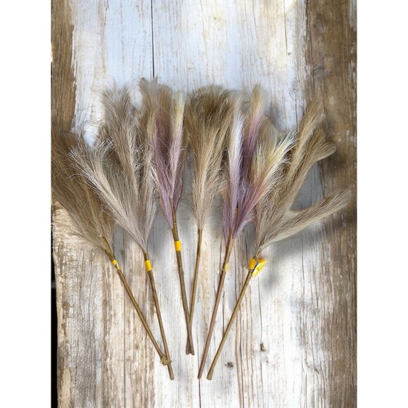 Faux Pampas Grass Fluffy Artificial Tall Stems Beige Boho 6 pcs 22 inches - Picture 1 of 16